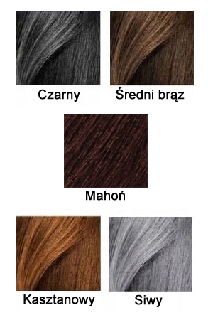 HairFor2 paleta