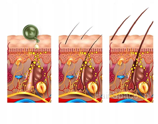 Castor Oil Capsule