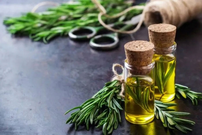 Sevich Rosemary Hair Serum 10ml