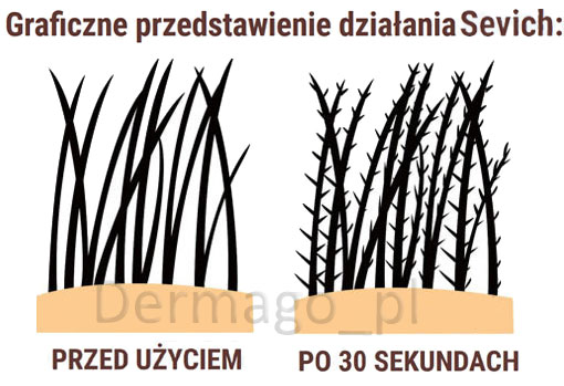 Sevich Saszetka efekt